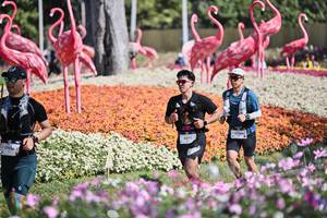 BIB: 
                            <button type="button" onclick="openModal(27793054)" class="btn btn-primary btn-sm float-right btn-popup" data-toggle="modal" data-target=".modal-high-quality">
                        <i class="fas fa-shopping-cart"></i> Add to Cart
                    </button>
                                            <button type="button" onclick="isThisMe(27793054, true)" class="btn btn-success btn-sm float-right btn-popup btn-isme hidden" data-toggle="tooltip" data-placement="bottom" title="นี่คือรูปของคุณใช่ไหม คลิกที่นี่เพื่อเอาเข้าอัลบั้ม">
                        <i class="fas fa-plus"></i> Add to album
                    </button>
                    <button type="button" onclick="isThisMe(27793054, false)" class="btn btn-warning btn-sm float-right btn-popup btn-isnotme hidden">
                        <i class="fas fa-ban"></i> Remove from album
                    </button>